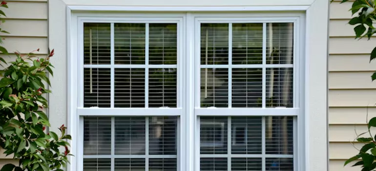 Custom Double Hung Windows in Pensacola, FL