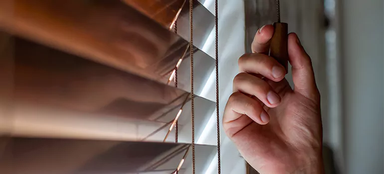 Double Roller Blinds in Pensacola, FL