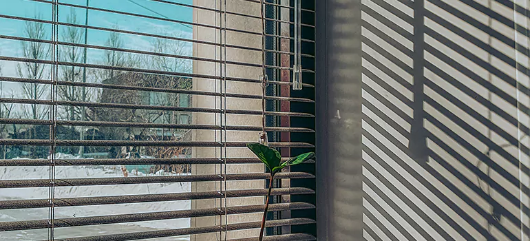 Commercial Window Blinds in Pensacola, FL