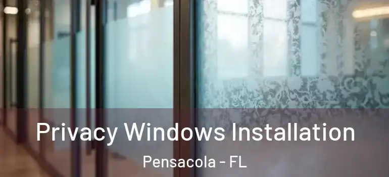Privacy Windows Installation Pensacola - FL