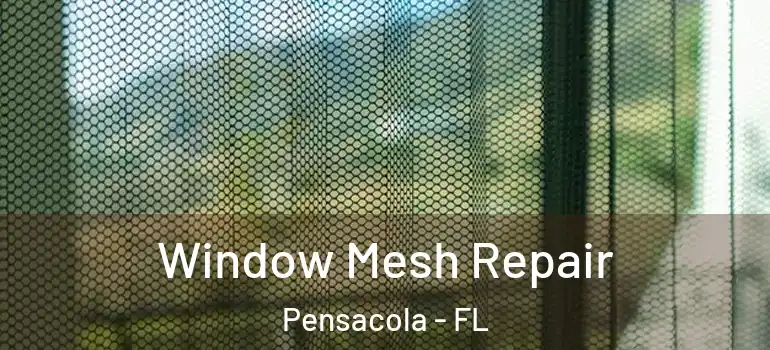 Window Mesh Repair Pensacola - FL