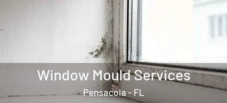 Window Mould Services Pensacola - FL